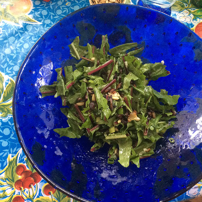 Mediterranean Cooking from the Garden with Linda Dalal Sawaya—a year in the garden!