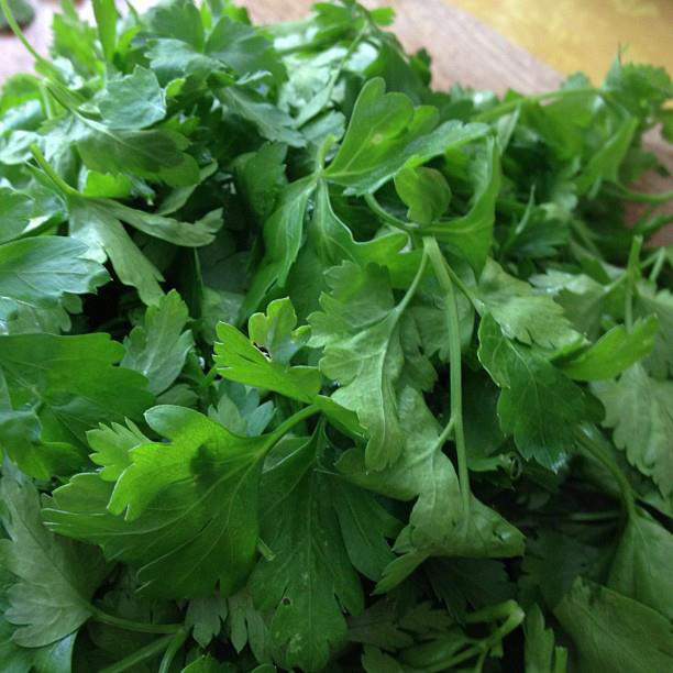 Mediterranean Cooking from the Garden with Linda Dalal Sawaya—5 easy ways to use your homegrown Italian parsley right now—Lebanese style!