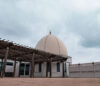 https://arabamericanmuseum.org/event/rooftop-garden-opening-celebration/?event_date=2023-05-20