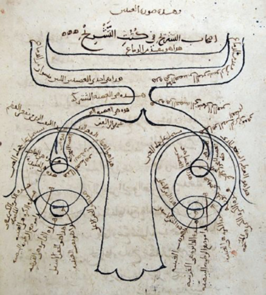 Hasan Ibn al-Haytham, the World's 'First True Scientist'