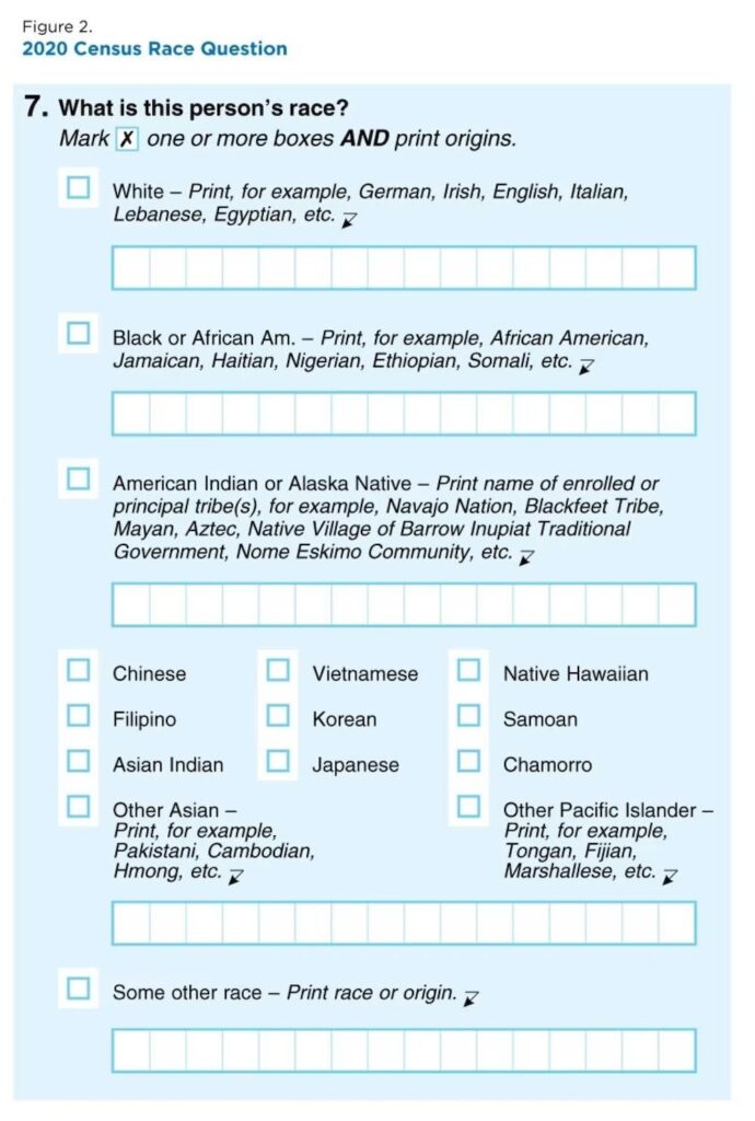 Why Arab American Youth Care About the U.S. Census
