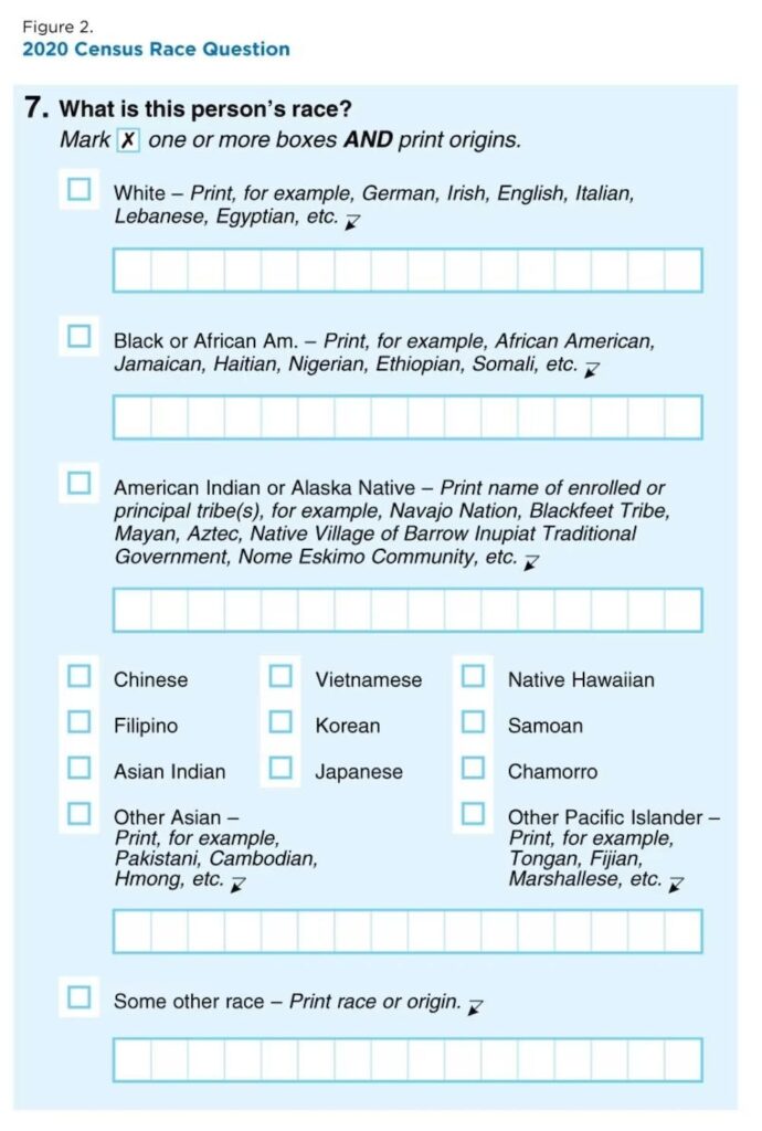 Why Arab American Youth Care About the U.S. Census