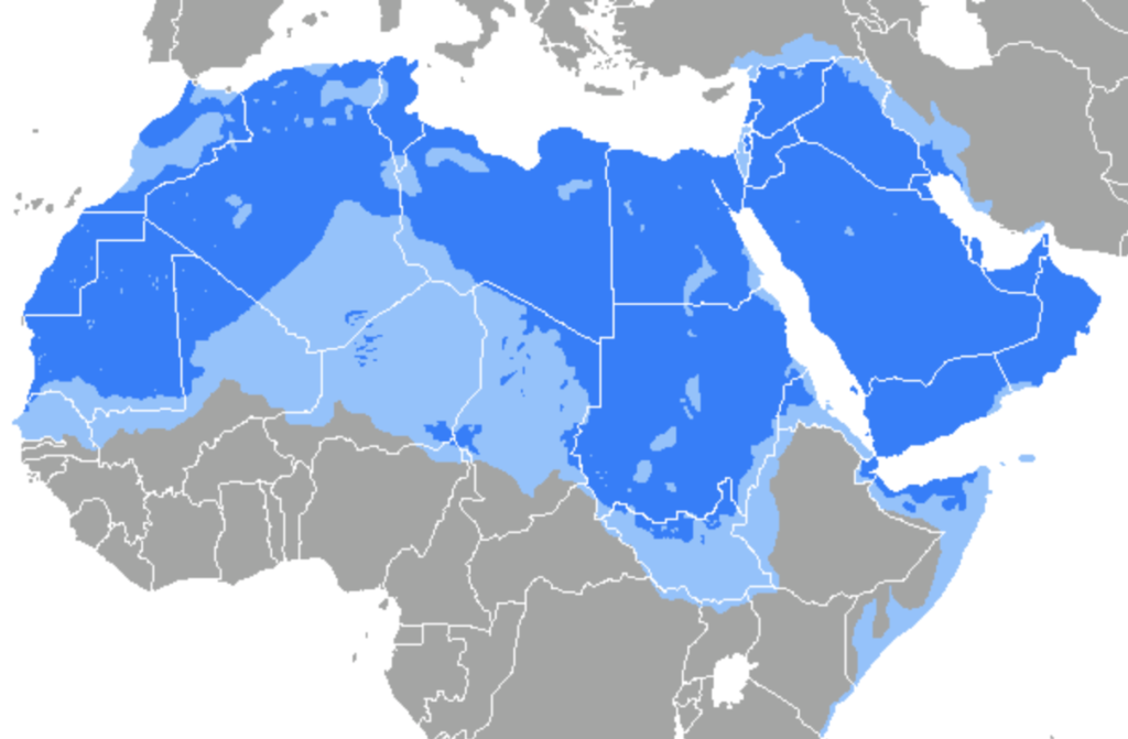 Arabic: One of the Fastest-Growing Languages in the World