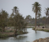 What the Drying Up of the Euphrates River Could Mean for Iraq & Syria