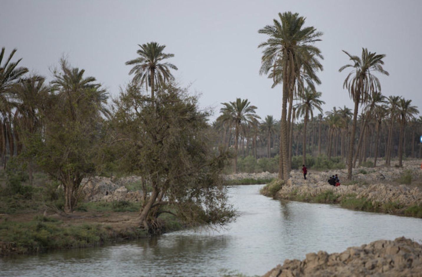 Syria fishermen despair at water loss, river pollution