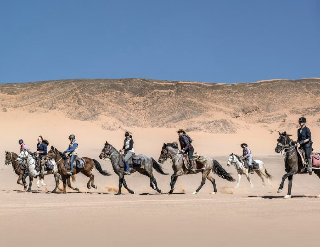 Venturing the Dunes: Exploring Excursions in the Sahara Desert