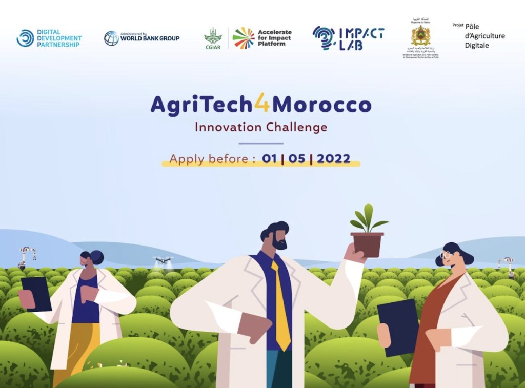 Modern Farming: Morocco’s Agritech Initiatives
