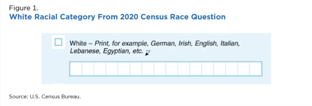 A Step in the Right Direction: U.S. Census Bureau Release Reveals Important Information on the Arab American Community