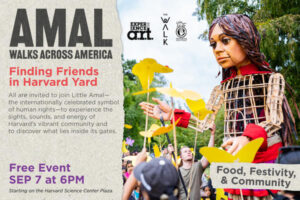 Little Amal: Finding Friends in Harvard Yard