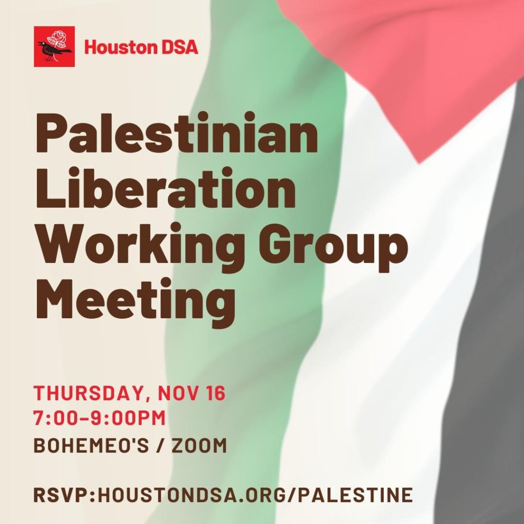 Palestinian Liberation Working Group