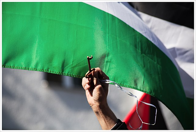 5 Ways to Show Palestinian Solidarity