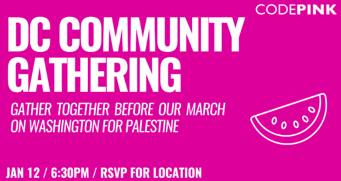 DC Community Gathering for Palestine