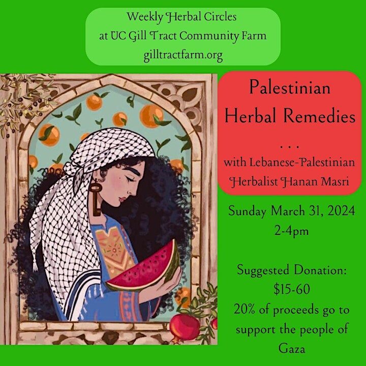 Palestinian Herbal Remedies