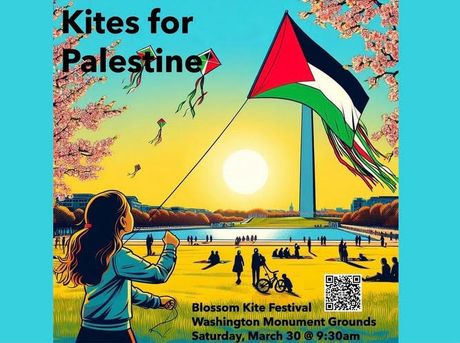 Kites for Palestine