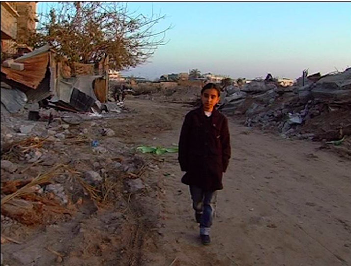 Where Should the Birds Fly? - Centering Palestine on Screen series