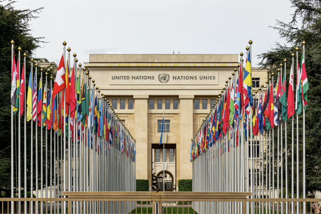 The Prospect of UN Multinational Troop Deployment in Gaza