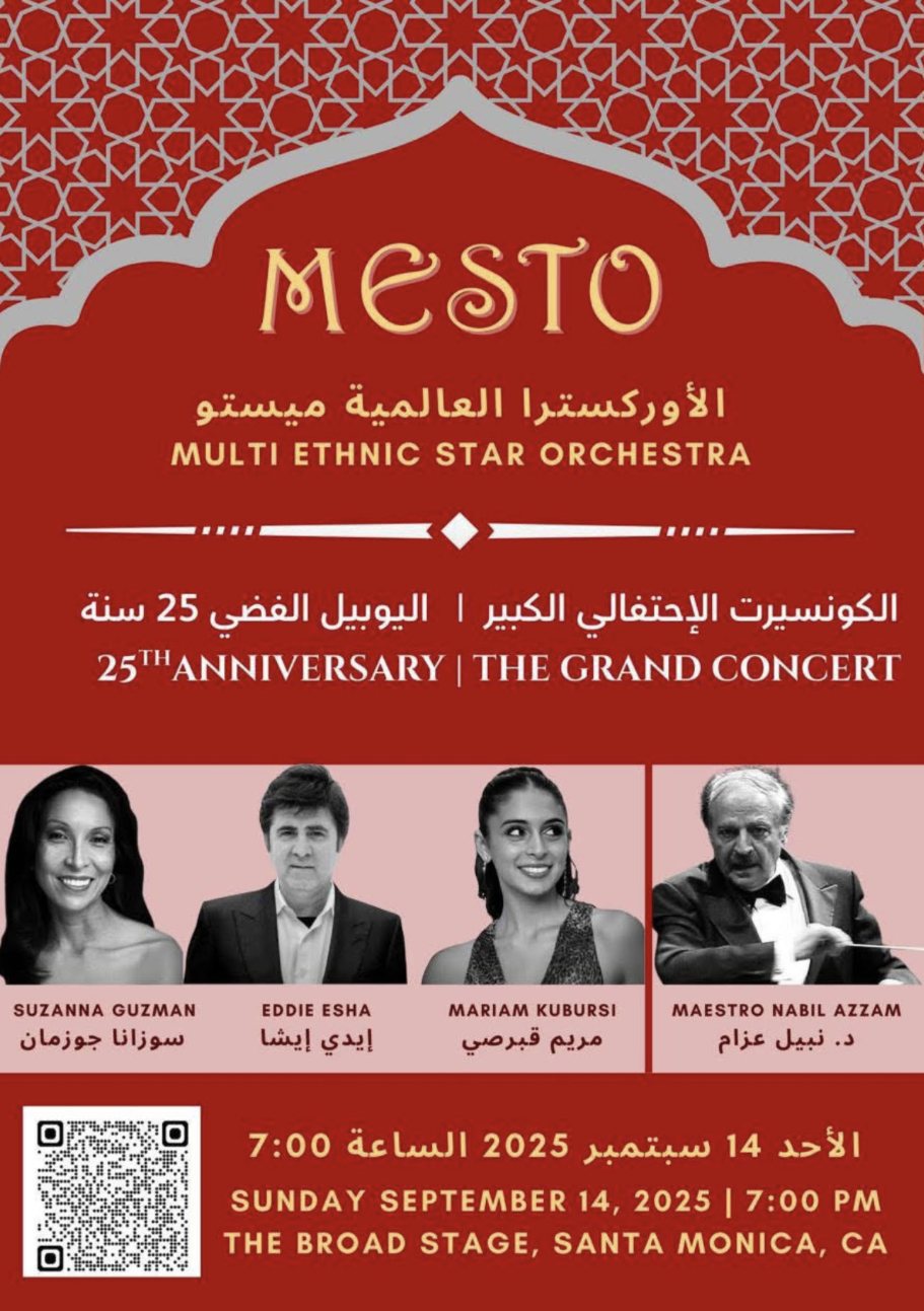 MESTO Multi Ethnic Star Orchestra