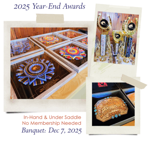 West Michigan Arabian Horse Association: 2025 Year-End Awards