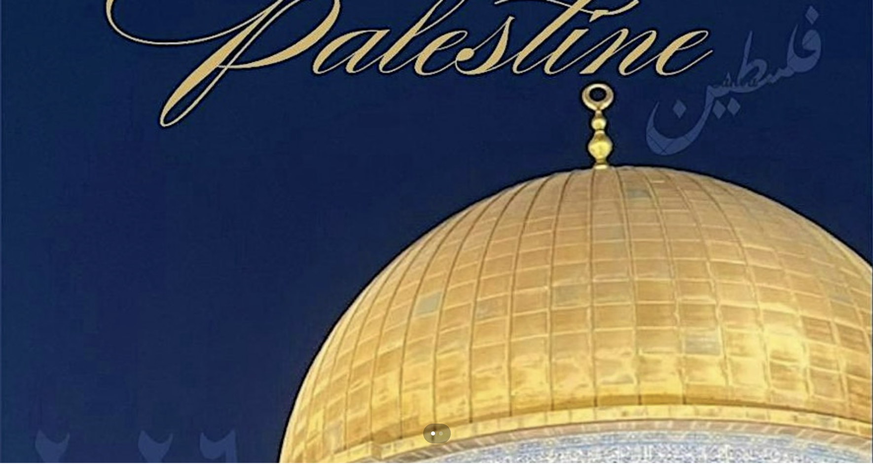 A Night In Palestine Fundraiser