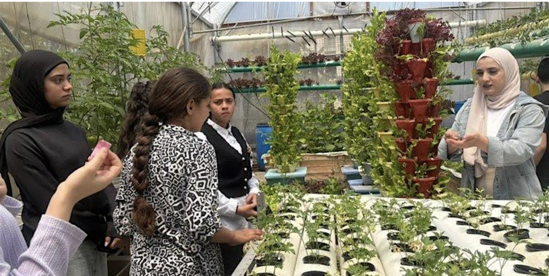 FREE PRESENTATION - SUSTAINING HEALTH AND COMMUNITY IN PALESTINE