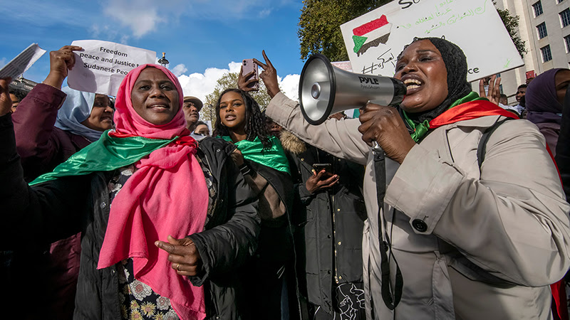 Sudan's Pro-Democracy Movement: The Role of Civil Society and Prospects for Democratic Transition