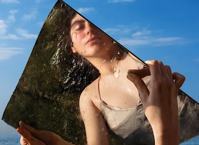 Artist Talk with Rania Matar