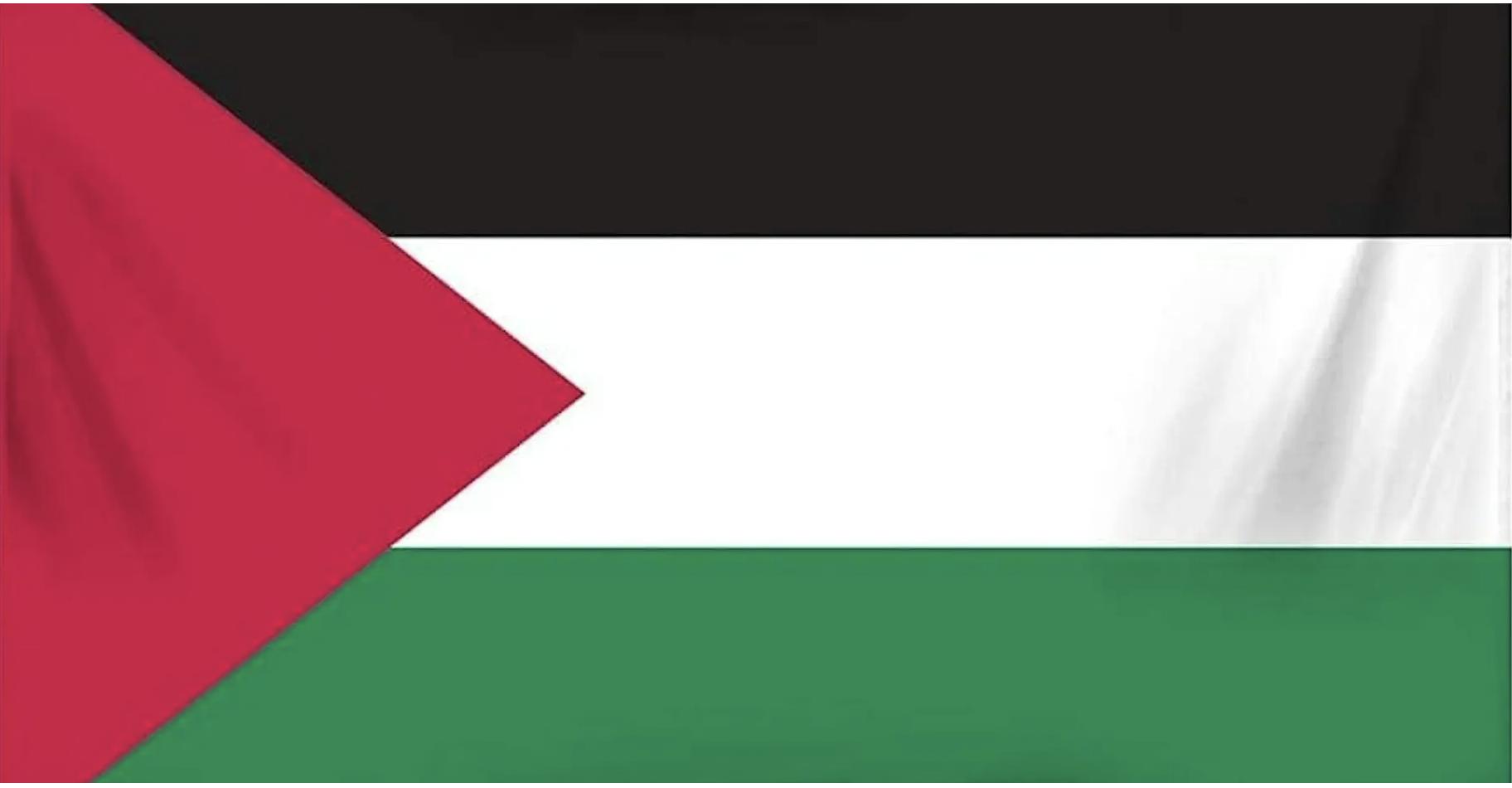 Brushstrokes for Palestine