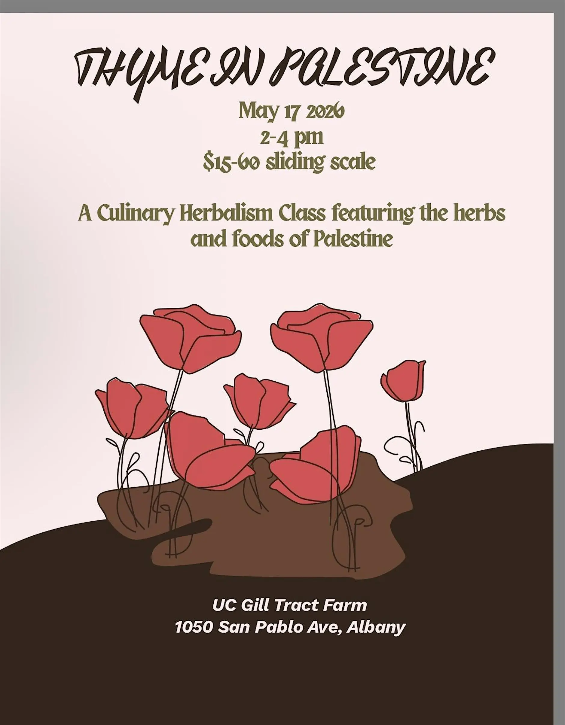 Thyme in Palestine - Culinary Herbalism Class