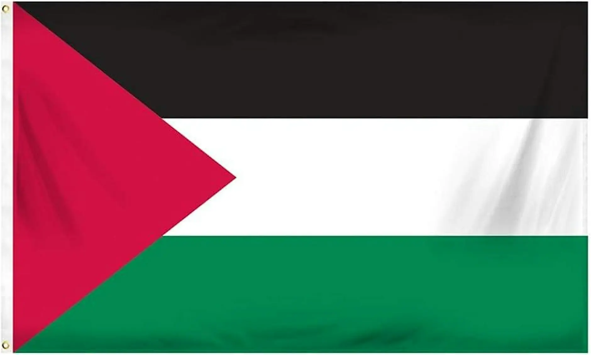 Brushstrokes for Palestine