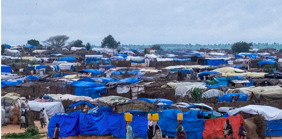 Sudan’s War: Humanitarian Cost, Prospects for Peace, and Potential Ways Forward